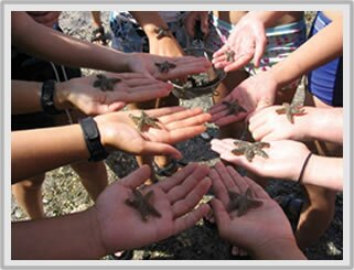 Coastal Studies for Girls